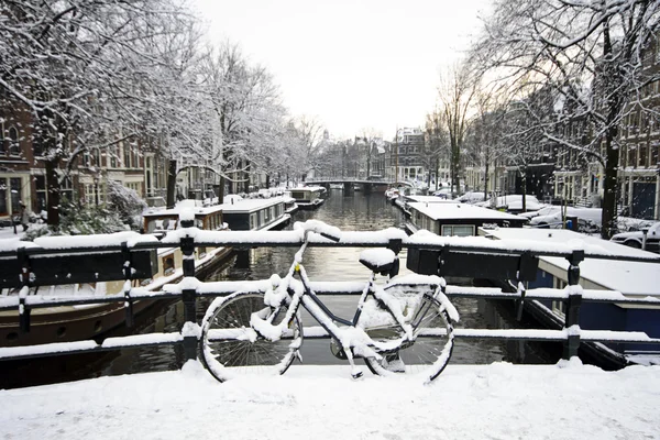 Snowy Amsterdam v Nizozemsku — Stock fotografie