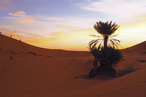 Puesta de sol en el desierto de Erg Chebbi en Marruecos África — Foto de Stock