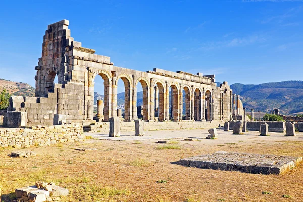 Volubilis - Roma Bazilikası kalıntıları Fas, Kuzey Afrika