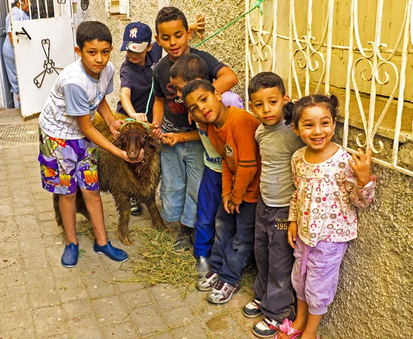 FES, MAROCCO - October 15 2013 : Kids with their sheep on Eid al — Stock Photo, Image