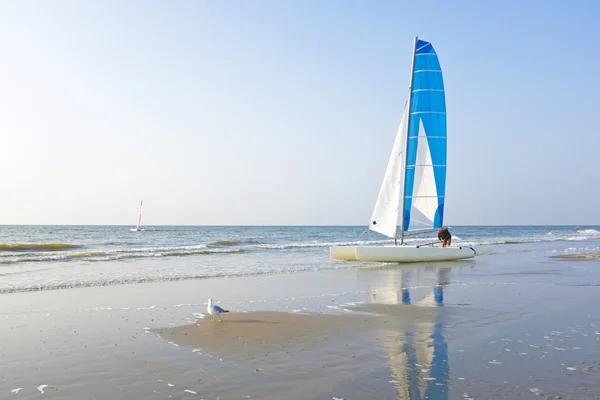 Katamaran på stranden från Nordsjön i Nederländerna — Stockfoto