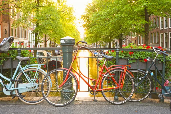 Bicicletas na ponte em Amsterdã Holanda — Fotografia de Stock