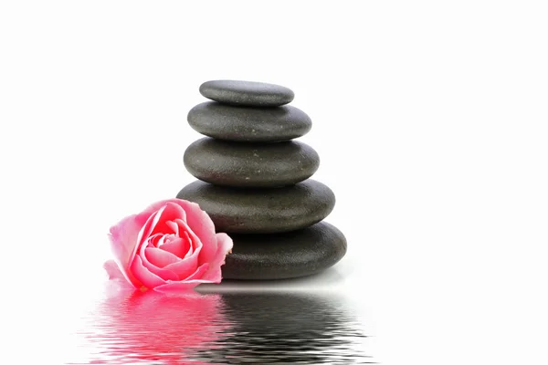 Spa koncept med zen stenar och blomma — Stockfoto