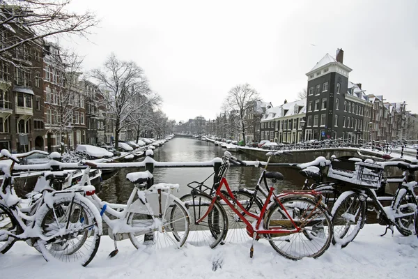 Amsterdã coberto de neve no inverno nos Países Baixos — Fotografia de Stock