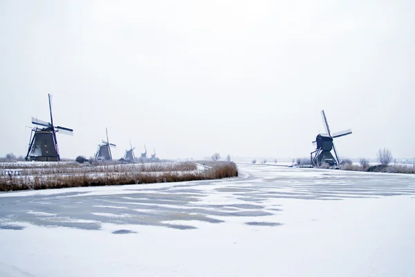 Molinos de viento famosos en Kinderdijk en los Países Bajos en invierno — Foto de Stock