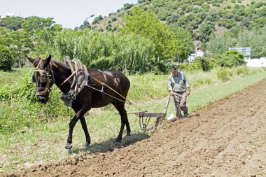 Aljezur, Portekiz 4 Nisan 2011: Çiftçi topraklarda çiftçilik
