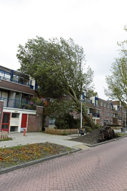 ağaç evler Hollanda Amsterdam bir fırtına sırasında düştü