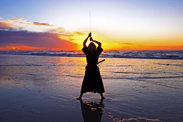 Fiatal szamuráj nők a naplemente, a japán sword(katana) a — Stock Fotó