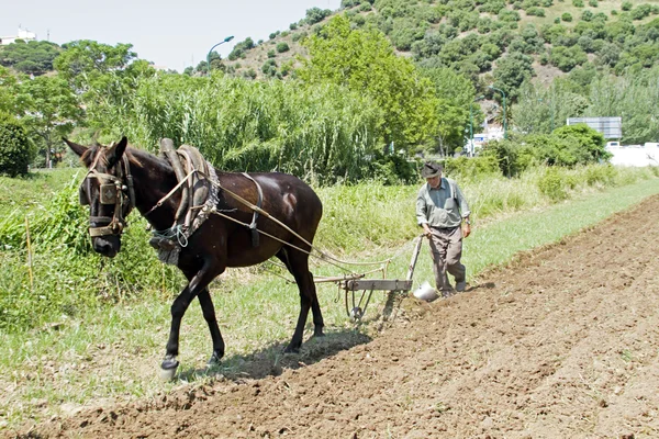 ALJEZUR, PORTUGAL 4 APRIL 2011: Farmer is ploughing the land in — Stock Photo, Image