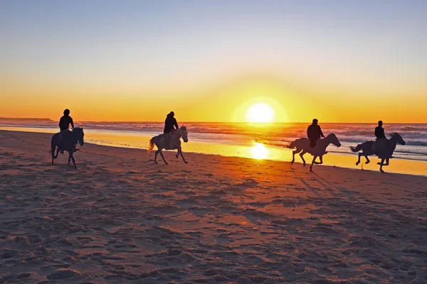 Paardrijden op het strand bij zonsondergang — Stockfoto