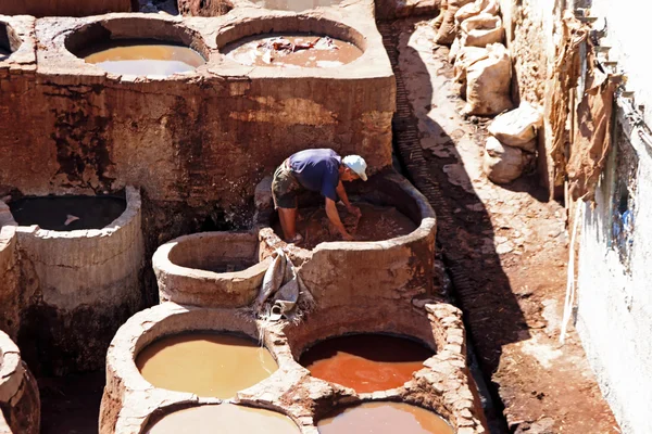 Morrocan man working dying skins — Stock Photo, Image