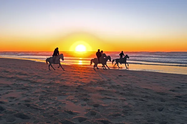 Équitation sur la plage au coucher du soleil — Photo