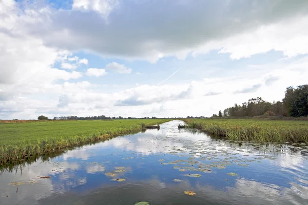 Typical dutch landscape in the Netherlands — Stok fotoğraf