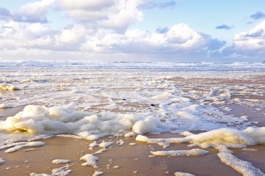 plajda Ocean köpük