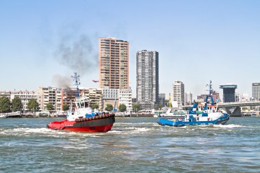 Hollanda rotterdam Harbor römorkör