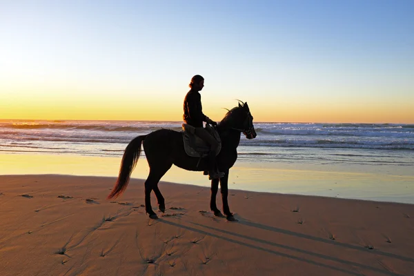 Horse riding on the beach at sunset — Stock Photo, Image