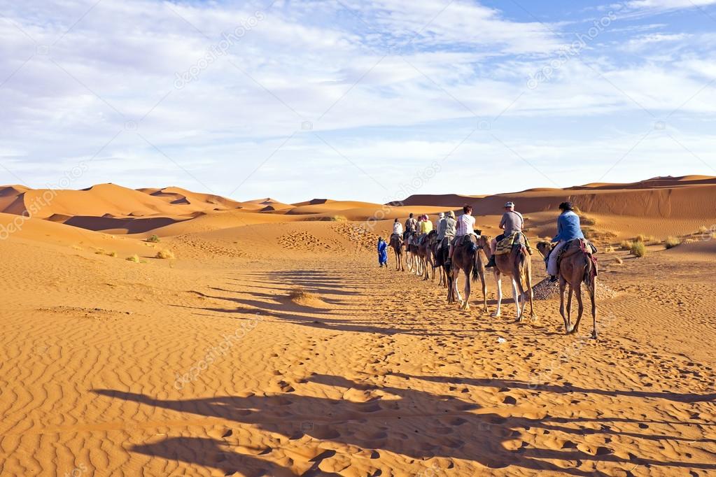 Camel caravan going through the sand dunes in the Sahara Desert