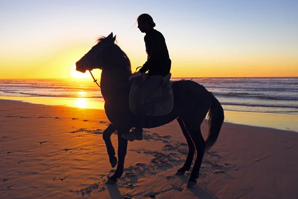 Horse riding — Stock Photo, Image