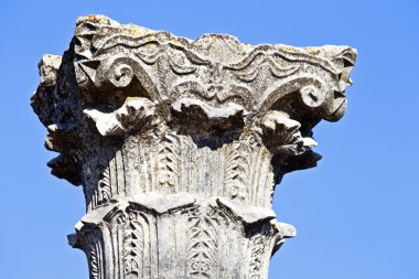 volubilis adlı eski ayağı