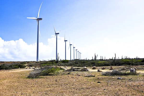Windmills in the cunucu — Stock Photo, Image