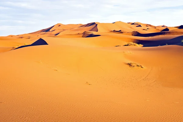 Dunas en el desierto del Sahara desde Marruecos — Foto de Stock