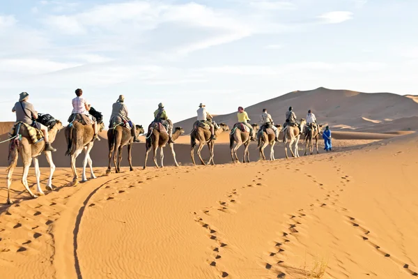 Camel caravan — Stock Photo, Image