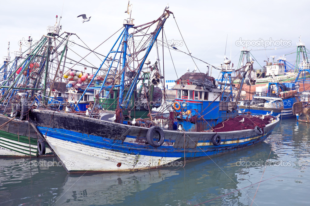 Fishing boats at the harbor