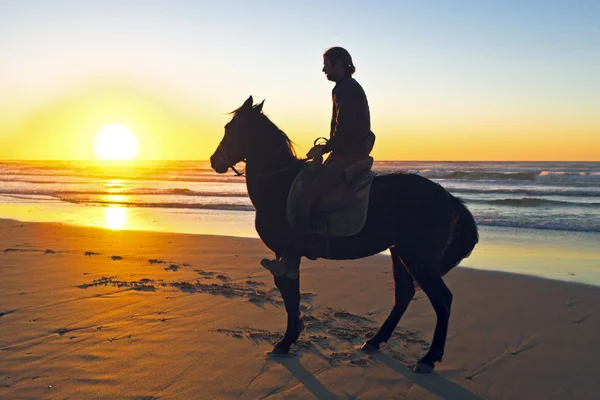 Horse riding at sunset — Stock Photo, Image