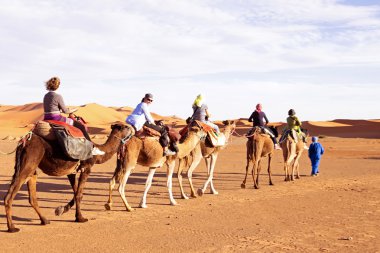 Deve kervanı Sahara çölünde