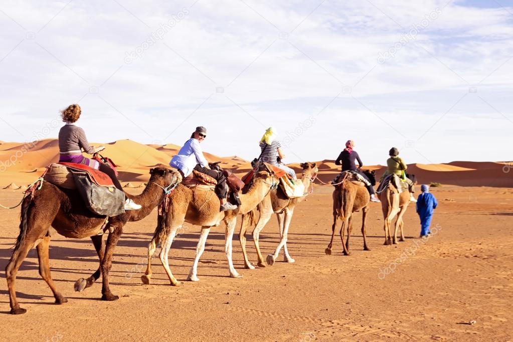 Camel caravan  in the Sahara Desert