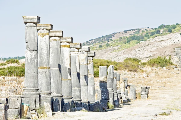 Volubilis - római bazilika romjai, Marokkó — Stock Fotó