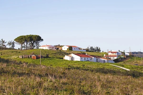 Casas — Fotografia de Stock