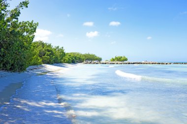 Palm beach, aruba Island