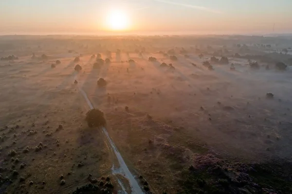 Aerial Sunrise Forest Friesland Netherlands — Stock Photo, Image