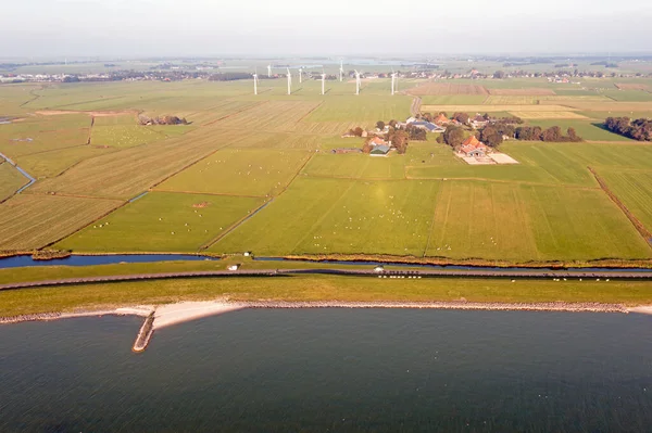 Аэропорт Типично Голландского Ландшафта Нидерландах Плоский Пейзаж Овцы Ветряные Мельницы — стоковое фото