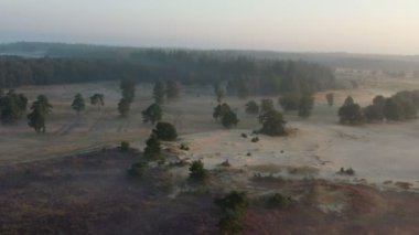 Hollanda 'da, Appelscha' da, doğadaki sisli bir tabiattan gelen hava rezervi Kale Duinen.