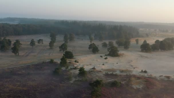 自然保護区の霧に覆われた自然景観からの空中 Kale Duinen Appelscha — ストック動画