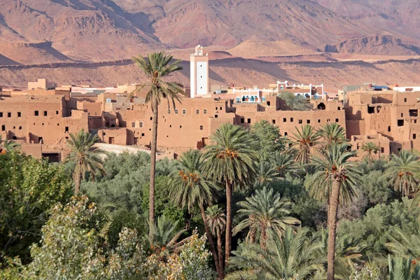 摩洛哥Dade Valey绿洲 — 图库照片