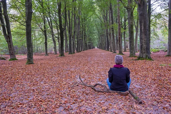 Femme Assise Dans Forêt Automne — Photo