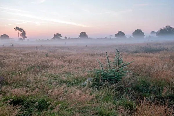 Wschód Słońca Parku Narodowym Hoge Veluwe Holandii — Zdjęcie stockowe