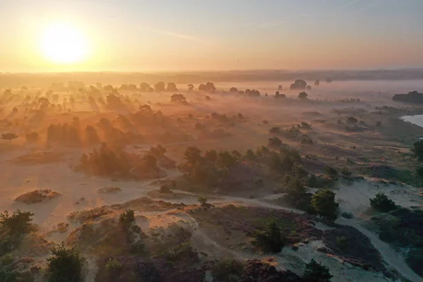 Aerial Nascer Sol Floresta Frísia Nos Países Baixos — Fotografia de Stock