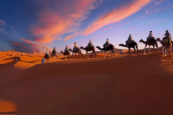Teve Karaván Megy Keresztül Szahara Sivatagban Marokkóban Naplementekor — Stock Fotó