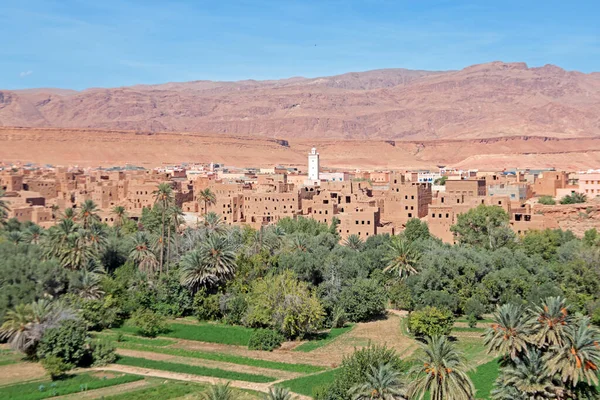 Oasis Dade Valey Morocco Africa Royalty Free Stock Photos