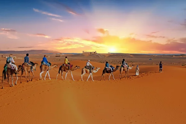 Kameel Caravan Gaat Door Sahara Woestijn Marokko Afrika — Stockfoto