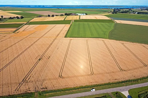 Luchtfoto Van Tarwevelden Klaar Voor Oogst Het Platteland Uit Nederland — Stockfoto