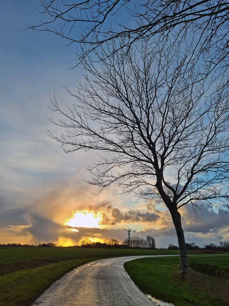 Sunset Countryside Friesland Netherlands — Foto de Stock