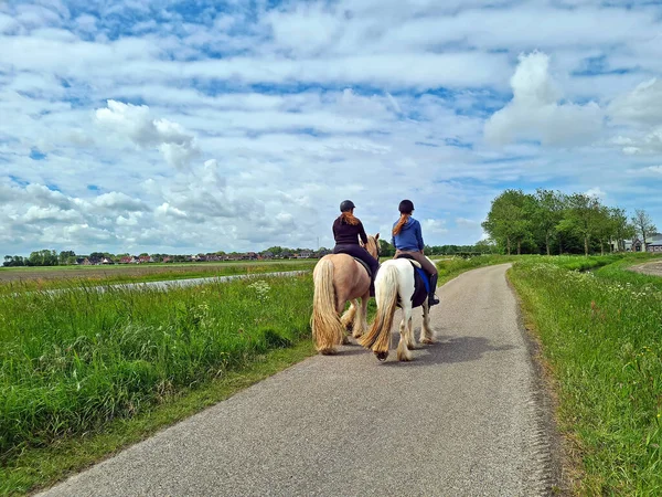 Horse Riding Countryside Netherlands Beautiful Summer Day — Stock Photo, Image