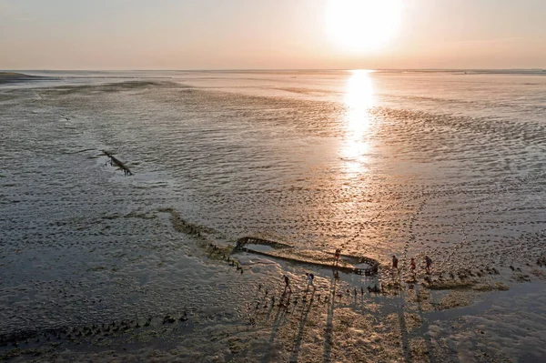 Aerial Walking Mud Wadden Sea Old Ship Wreck Friesland Netherlands — Stock Photo, Image