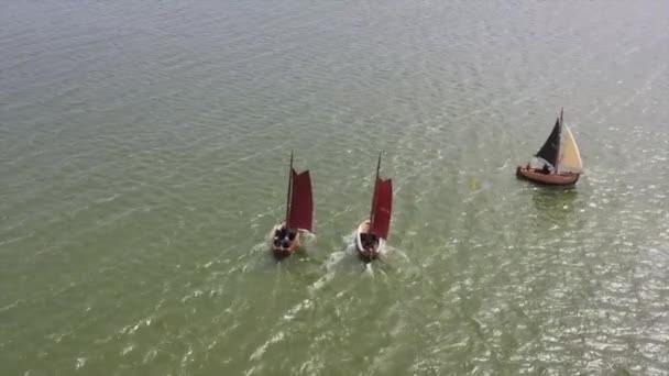 Aerial Sailing Old Traditional Boats Ijsselmeer Netherlands — Wideo stockowe