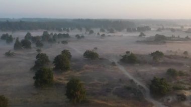 Hollanda 'daki De Hoge Veluwe Ulusal Parkı' nda güzel bir gündoğumundan kalma hava.